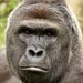 Profile Picture of Michael Emslie (@emsliem001) on Pinterest