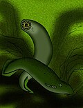 Profile Picture of Pipisciuson Wikipedia