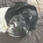 Profile Picture of Seth Sawyer (@Seth-Sawyer) on Facebook