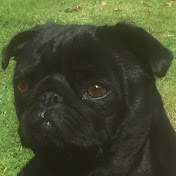 Profile Picture of Robert England (@robertengland2650) on Youtube