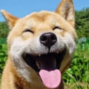 Profile Picture of Tanya Tuttle (@tanyatuttle2672) on Youtube