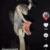 Profile Picture of Carson Carson (@@billythebass1) on Tiktok