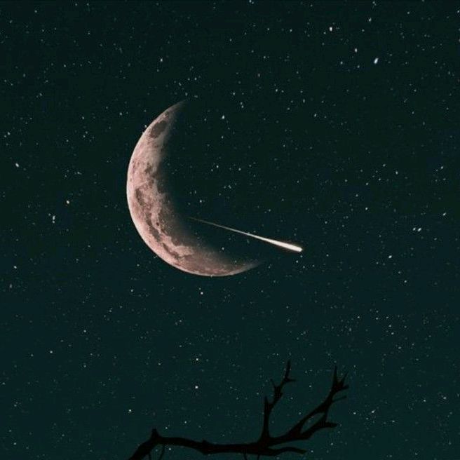 Profile Picture of Max Mahon (@max_mahon09) on Tiktok