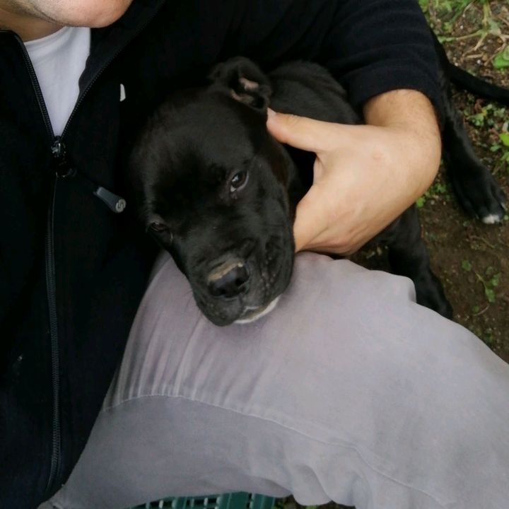 Profile Picture of Daniel Tarca510 (@danieltarca2) on Tiktok