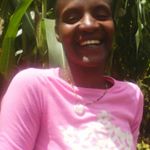 Profile Picture of paul bogy (@paulbogy) on Instagram