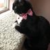 Profile Picture of Steve Tafoya (@steve.tafoya.7359) on Facebook