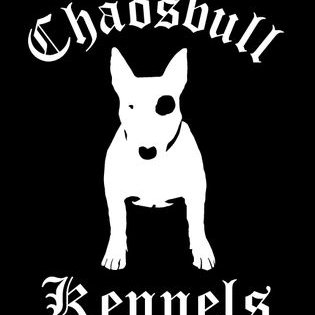 Kyle Chappell - Twitter Profile Picture of Kyle Chappell (@Kylechappell5) on Twitter