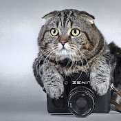 Profile Picture of Zubek (@zubek_bezubek) on Youtube