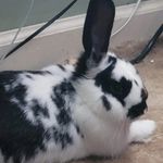 Megan Hetrick - Instagram Profile Picture of Megan Hetrick (@meghetrick1) on Instagram