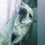 Profile Picture of Rex Ramirez Cadavid (@rexramirezcadavid) on Instagram
