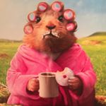 Profile Picture of Nancy Sylvester (@nunu3almost4) on Instagram
