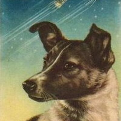 Profile Picture of Mary Hinds (@gaeahousehound) on Twitter