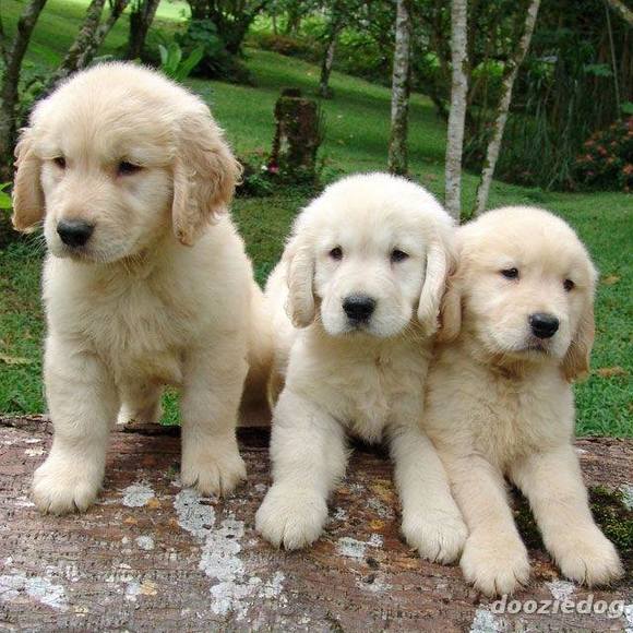 Profile Picture of Alyssa Ermann (@alyssaermann) on Poshmark