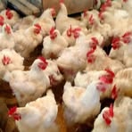 Profile Picture of Jessie Miranda (@Jessie-Miranda) on Facebook