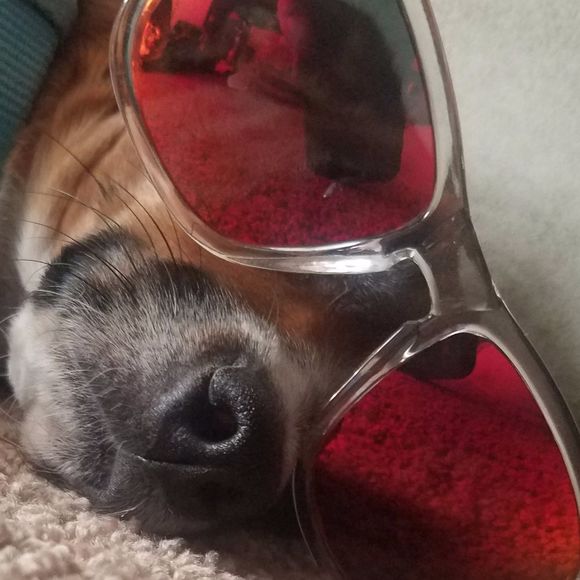 Profile Picture of Desirae Rowan (@rowan2012) on Poshmark