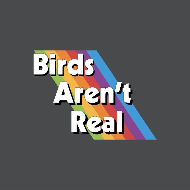 Profile Picture of Birds Aren’t Real (@birdsarentreal) on Tiktok