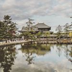 🍁 Michael Halliwell 🍁 - Instagram Profile Picture of 🍁 Michael Halliwell 🍁 (@michael.halliwell) on Instagram