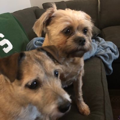 Profile Picture of Paul Day (@PDfor3) on Twitter