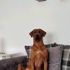 Profile Picture of Sharon.mcdougall1 (@sharon.mcdougall1) on Tiktok