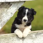 Profile Picture of Danilo Isidro (@Danilo-Isidro) on Facebook