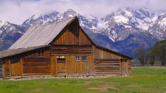 Profile Picture of Laurie Russell (@laurierussel810) on Poshmark