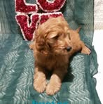 Profile Picture of Daniel Lengacher (@daniel.lengacher.7) on Facebook