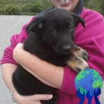 Profile Picture of Joyce Isiminger (@joyce.isiminger) on Facebook