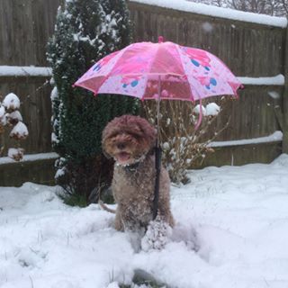 Profile Picture of Eileen Randall (@Eileen-Randall) on Facebook