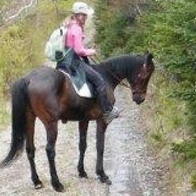 Profile Picture of Pam Haley (@pammariehaley) on Twitter