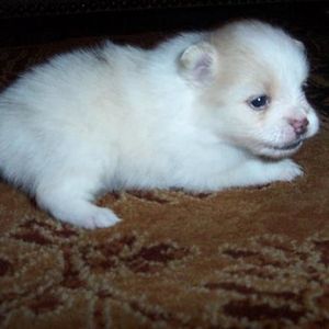 Profile Picture of Joel Locke (@locke1989) on Myspace