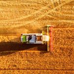 Profile Picture of Amy Weichert (@amymsrkus_) on Instagram