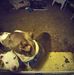 Profile Picture of James Toles (@james.toles.129) on Facebook