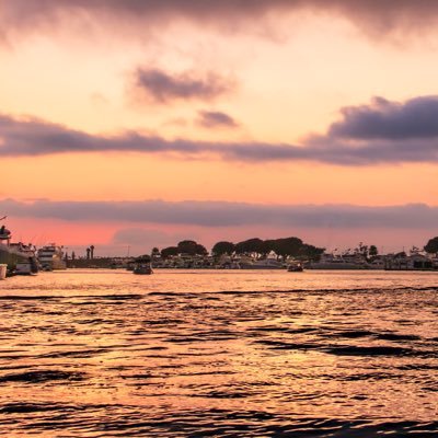 Profile Picture of Brian Arguello (@Barguelloo) on Twitter