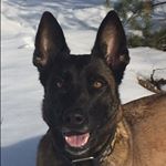 Profile Picture of Daniel Ekberg (@oakrock) on Instagram