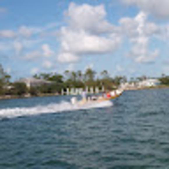 Profile Picture of Nancy Winfree (@nancywinfree) on Poshmark