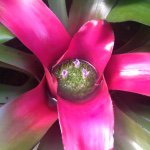 Profile Picture of Heather Edell O’Keeffe (@hedell) on Instagram