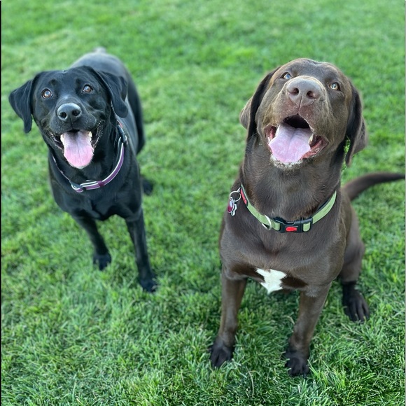 Haley Buscher - Poshmark Profile Picture of Haley Buscher (@hales1996) on Poshmark