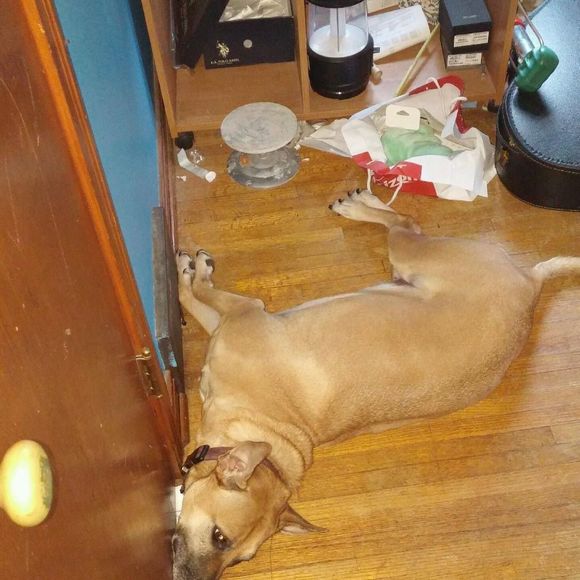 Orianna Rzucidlo - Poshmark Profile Picture of Orianna Rzucidlo (@oriface) on Poshmark