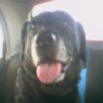 Profile Picture of Jason Ramage (@jasonramage) on Instagram