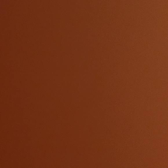 Profile Picture of Shawna Carpenter (@shawnacarpen721) on Poshmark