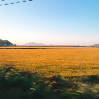 Profile Picture of Subin Kim (@kikikim531) on Twitter