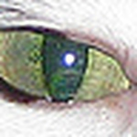 Profile Picture of High Point Jim (@High Point Jim) on Flickr