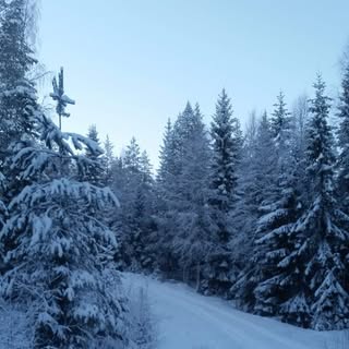 Profile Picture of Jonathan Lindgren (@lindgrenjonathan) on Instagram