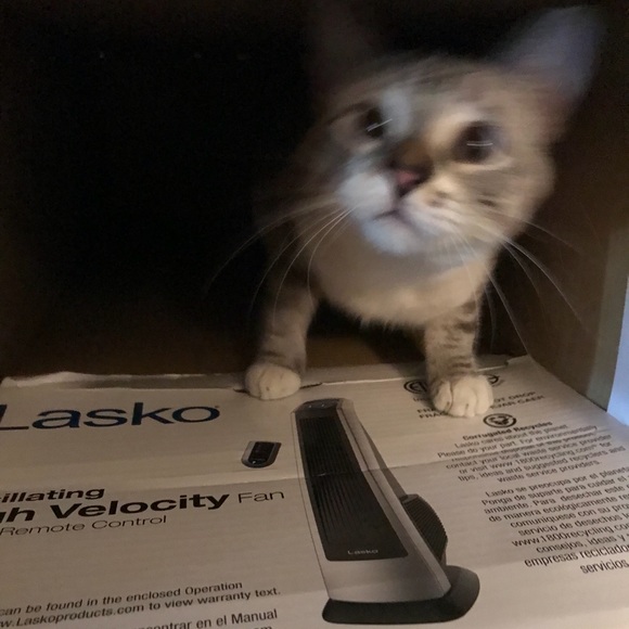 Profile Picture of Cecil Winters (@cecilwinters) on Poshmark