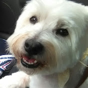 Profile Picture of Barbara Conroy (@pmcbarb) on Youtube