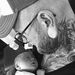 Profile Picture of Harry Huth Geboren Nimtz (@harryhuthgebore) on Pinterest