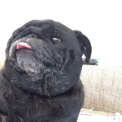 Profile Picture of Connor Kerr (@connorkerr2733) on Youtube