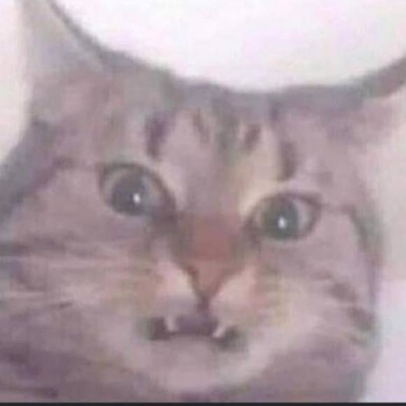 Profile Picture of Betty Bitter (@labelfeen) on Poshmark