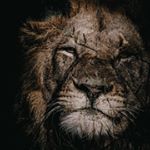 Profile Picture of RUBEN JACOBS WILDLIFE (@rubenjacobs_wildlife) on Instagram