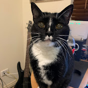 Profile Picture of Robin Fleming (@grieverv) on Youtube